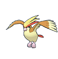 Roucarnage