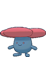 Rafflesia