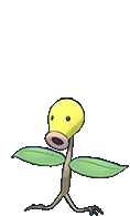 Chetiflor