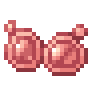 Poring Sunglasses
