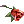 Crimson Rose
