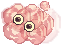 Furious Noxious