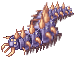 Swift Centipede