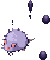 Rat Brun